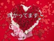 꿈같은❤️