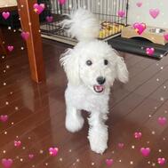 좋은 아침♡