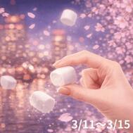 이벤트♡
