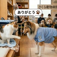 출근 16일째 / 4/17(금) 히가시기시 와다역 Y님
