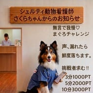 참치 챌린지 개최!