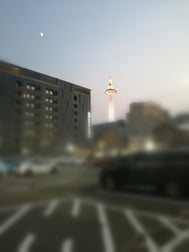 반월...