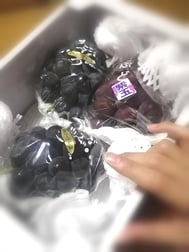 기쁜 선물...