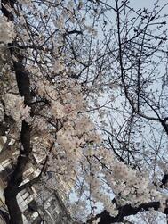 오늘 16:30~예약 T님