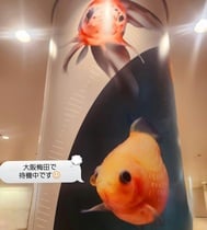 오사카 우메다역에서