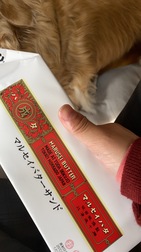 죄송합니다.