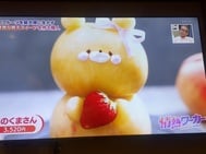 정말 귀엽다.