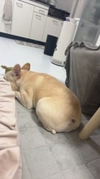 안녕!