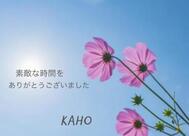 감사합니다♡(12:00~)