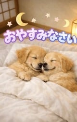 쉬세요