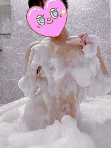 밤밥은 어느 쪽파?