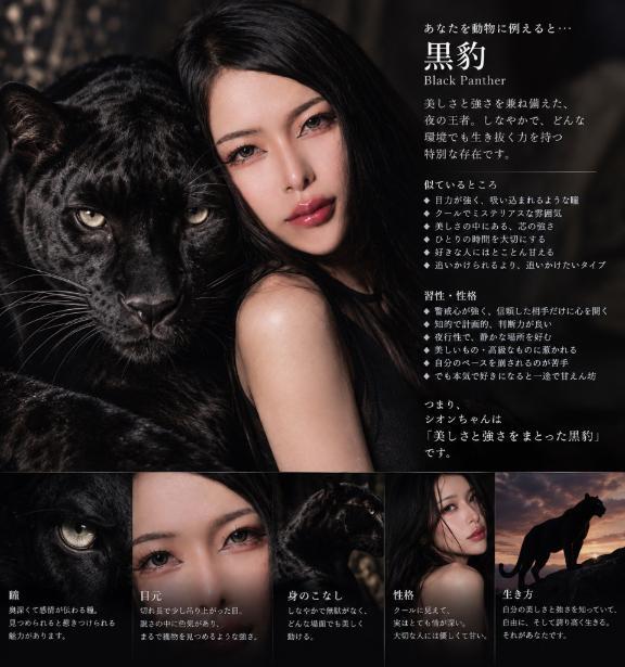 ✨️