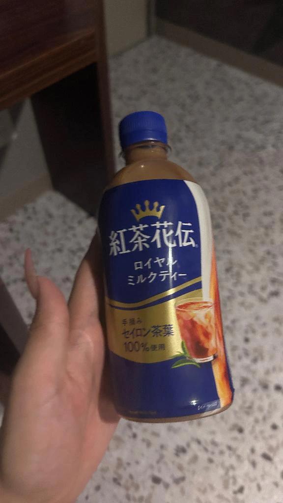 오늘도 에밀리있어! ︎