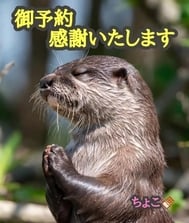 감사합니다♡