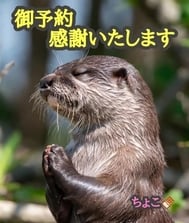 감사합니다♡
