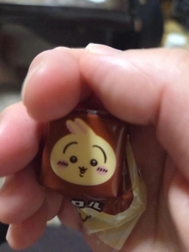 휴가
