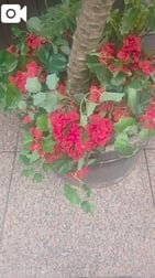 세로퇴근♥️