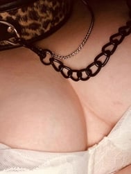 ✨