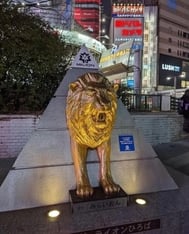 감사일기