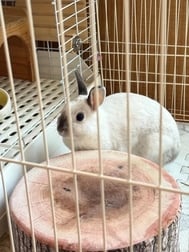 좋은 아침이야 🎀