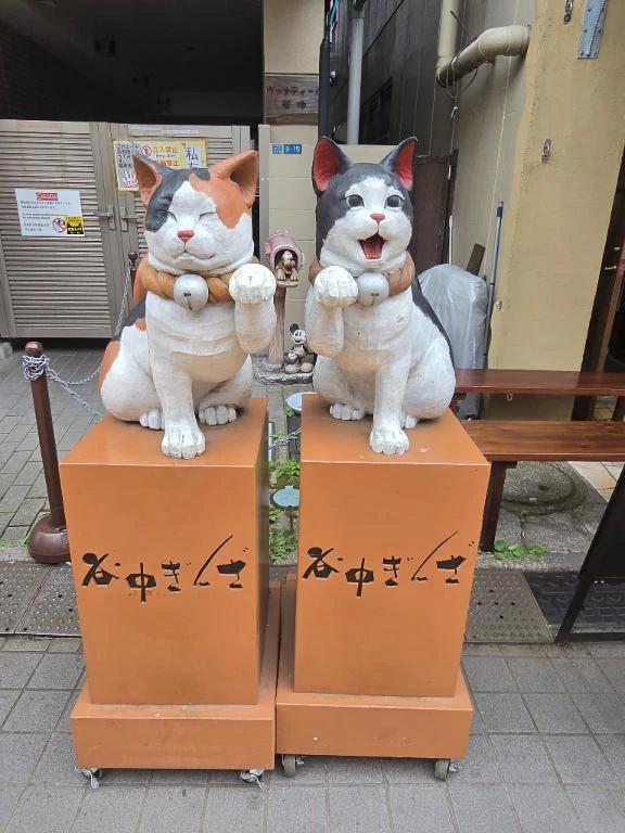 냐 온