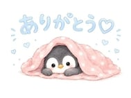 💗3시 30분~의 신규님💗