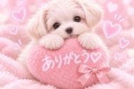 21시 40분~예약해 주신 신규님♡