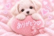 기다리고 있습니다 🫶🏻💕