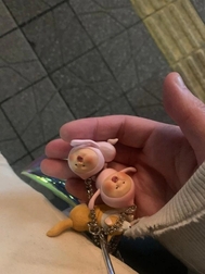 오늘과 내일만