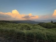 오늘 출근이야~!