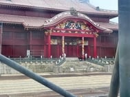 추시활 in🌺