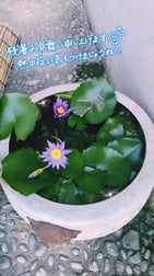 ✨ 더위에 지지 않고. . .