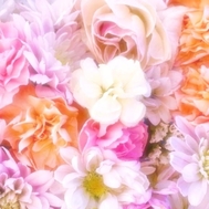 🌸감사합니다