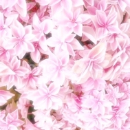 🌸 감사일기