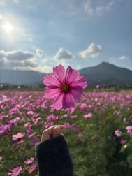 어제 감사합니다💗