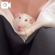 가슴 속을 사랑해 🥰