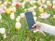 하나미 🌸🌼