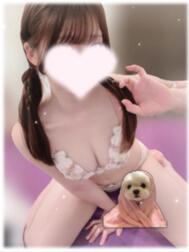 15시부터 🌸