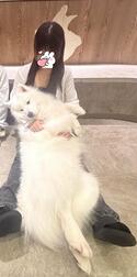 오랜만의 밤이다~✨