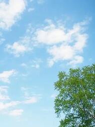 향해요 🙂‍↕️🩵
