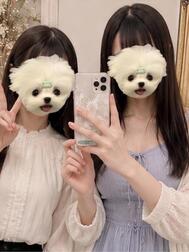 12시부터 있습니다 💖