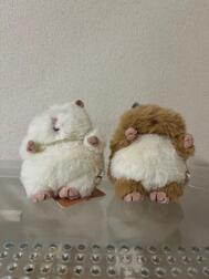 🐹💕
