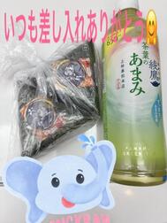 4월 7일의 감사 🩵 니코리 씨 🩵 이른 아침