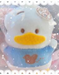 신데렐라