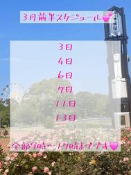 3월 전반스케줄🗓