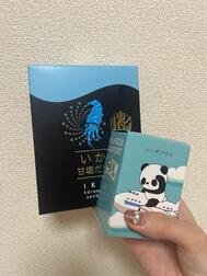 여행 ✈️