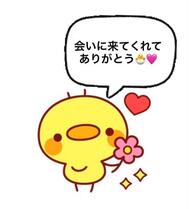 8/24 감사일기💌60분 니코리 H.m군