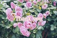 후기감사합니다♡[감사일기]