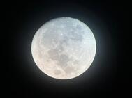 🫧 보름달 🌕🫧
