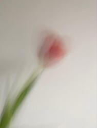 4/20의 감사